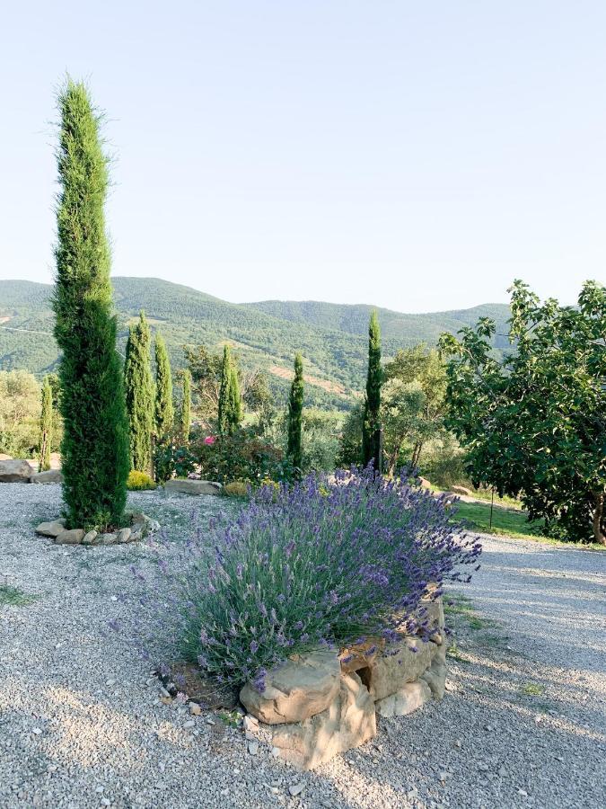 Villa Montanare Кортона Екстериор снимка