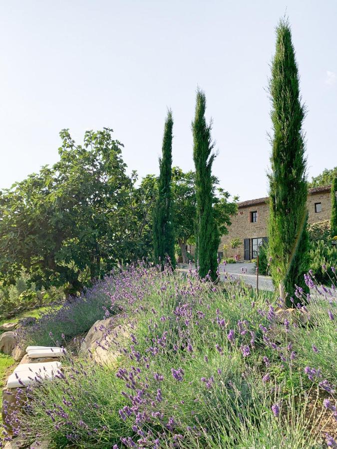 Villa Montanare Кортона Екстериор снимка
