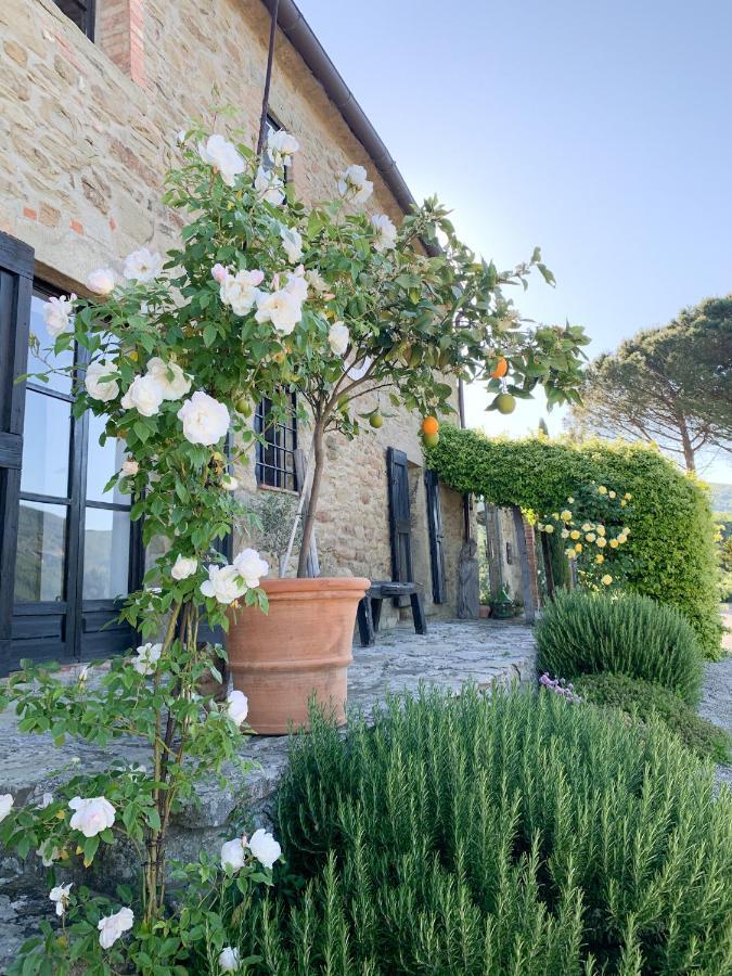 Villa Montanare Кортона Екстериор снимка
